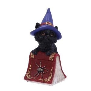 Hocus Witches Black Cat and Spellbook Figurine